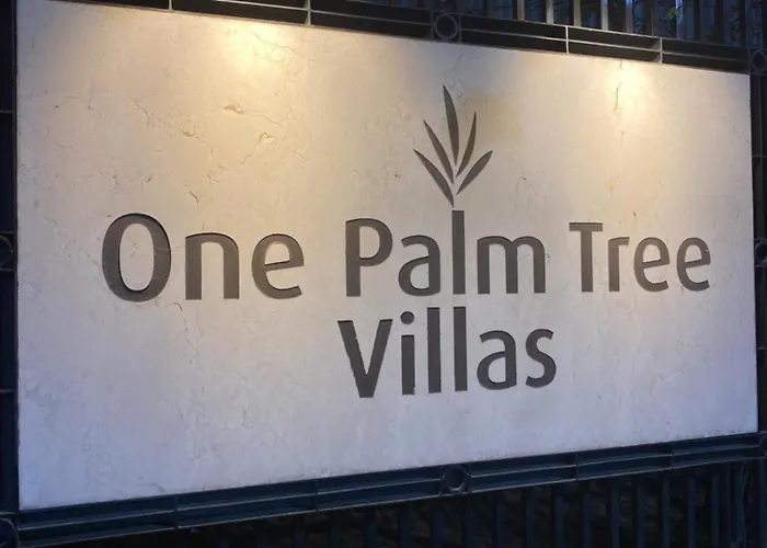 One Palm Tree By Bing *